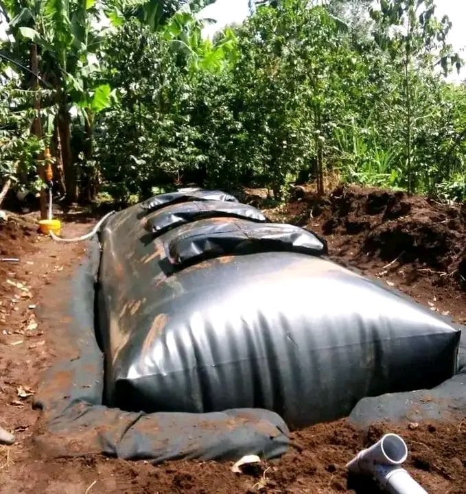 Biogas production