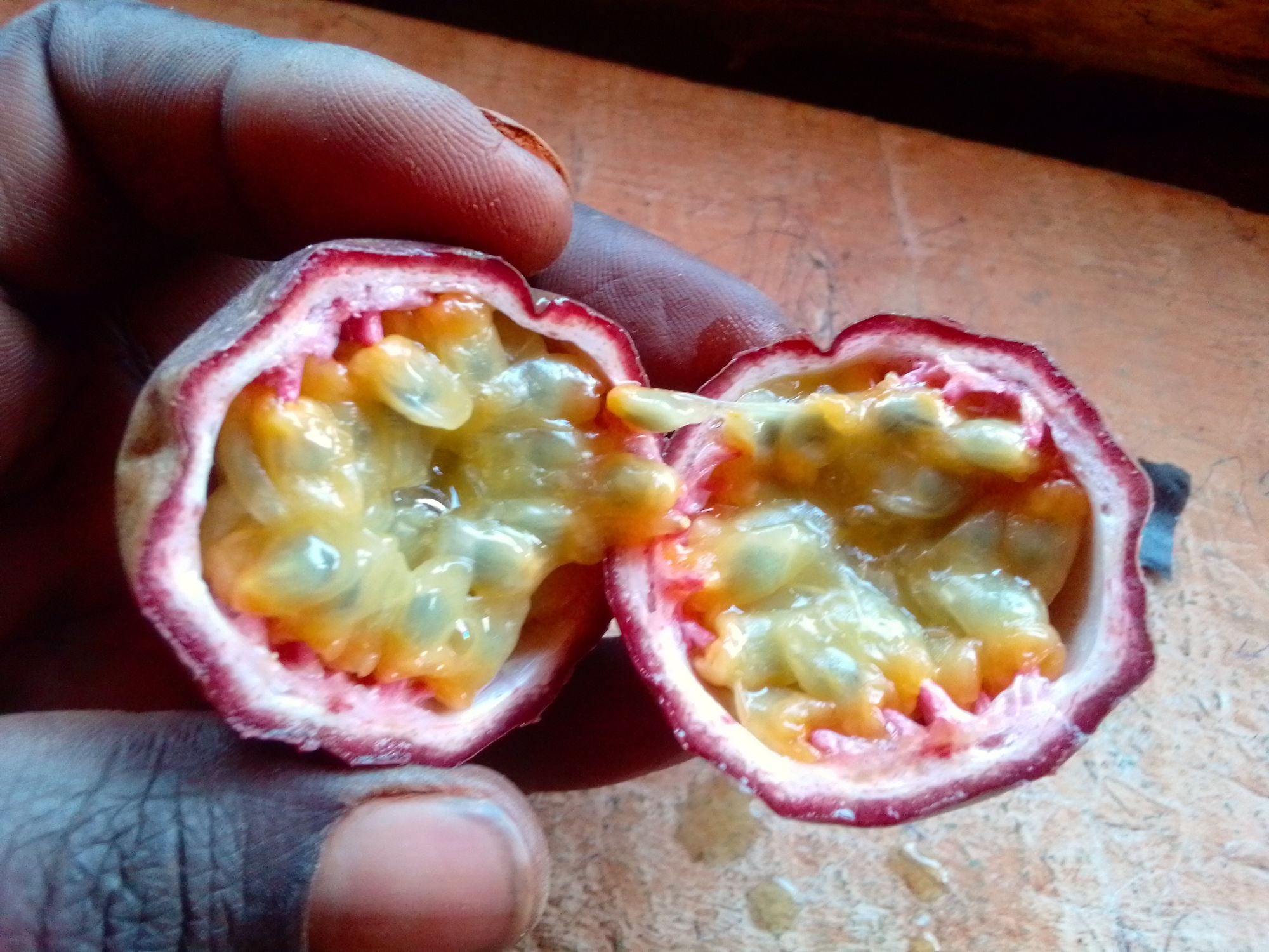 Passion fruit farming